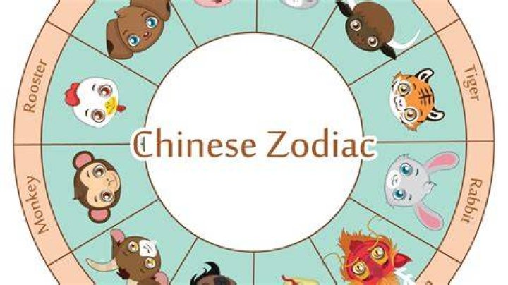 1976 Year of What Animal: Discover the Zodiac Significance