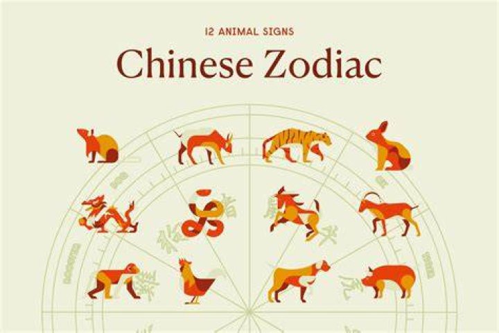 1986 Chinese Zodiac Element: A Comprehensive Guide to Fire Horse