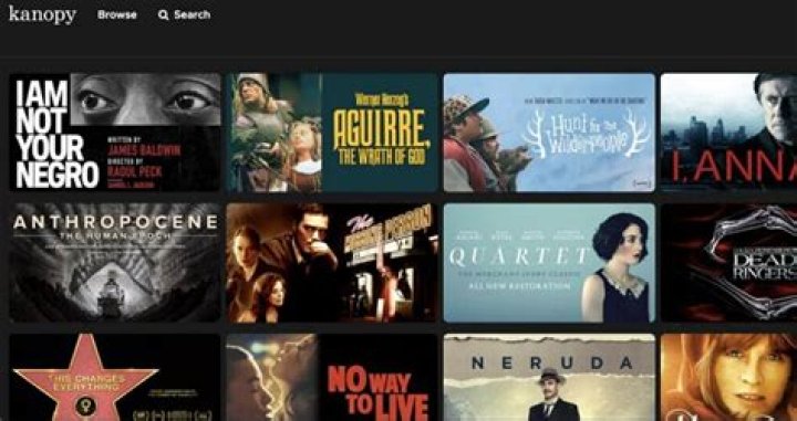 1filmy4wap Alternative: Your Ultimate Guide to Legal Movie Streaming