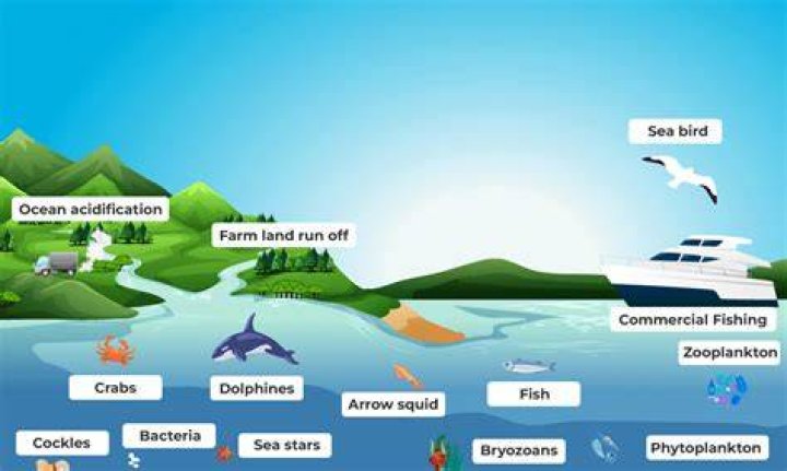 3 Factors of Aquatic Biomes: Understanding the Key Elements Shaping Marine and Freshwater Ecosystems