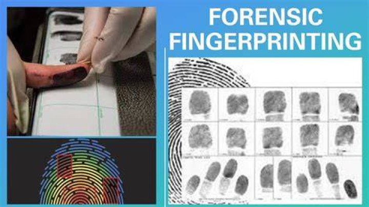 4 Girls One Fingerprint: A Comprehensive Analysis of the Viral Phenomenon