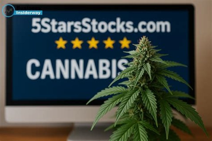 5starsstocks.com Cannabis: Your Ultimate Guide to Investing in Cannabis Stocks