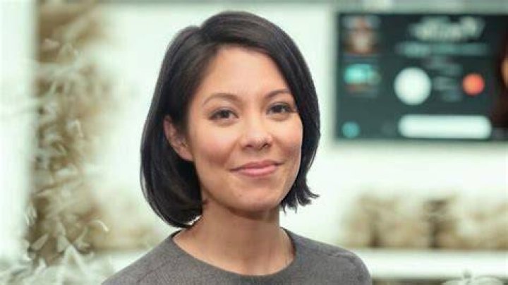 Alex Wagner: Divorce, Career & Life Insights
