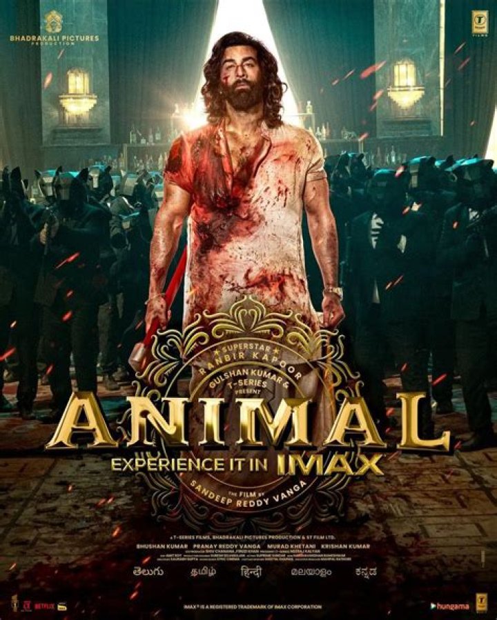 BollyFlix.com.in: Your Ultimate Destination for Bollywood Entertainment