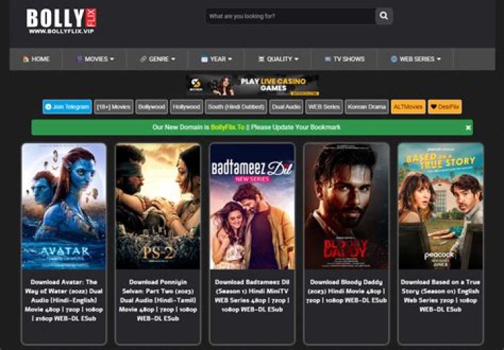 Bollyflix Net: The Ultimate Guide to Stream Bollywood Movies Online