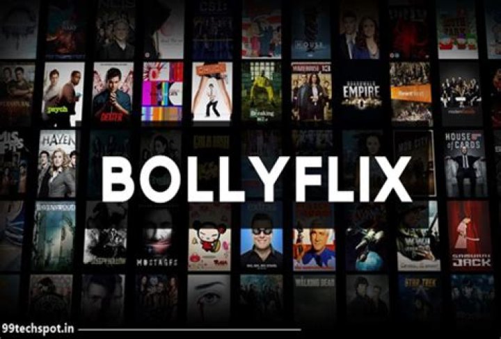 Bollyflix Search Tips: Avoid 