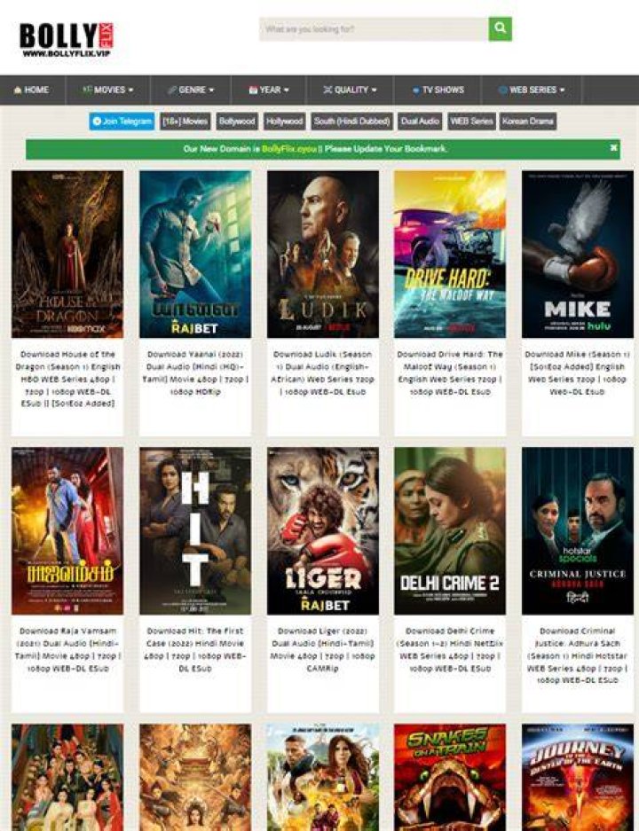 Bollyflix: Stream Bollywood & Hollywood Movies Free - Watch Now!