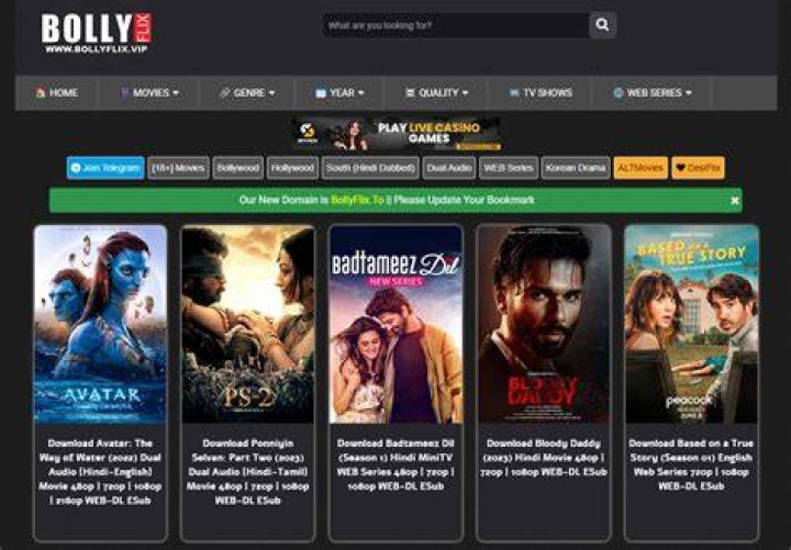 Bollyflix Web: Your Ultimate Destination for Bollywood Entertainment