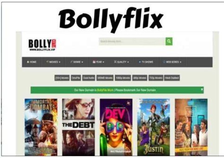 Bollyflix: Your Guide to Free Indian Movies & Downloads 2024
