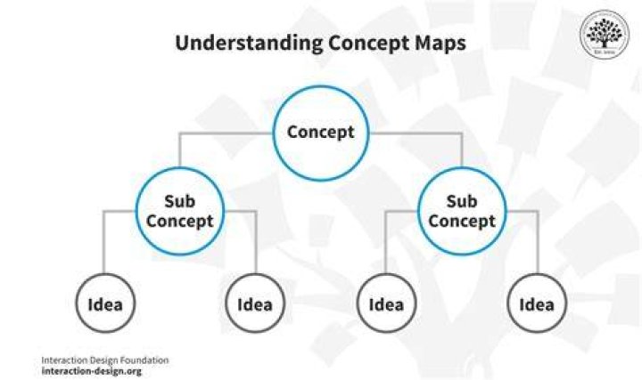 Bubble.Guts Meaning: Understanding the Concept and Its Applications