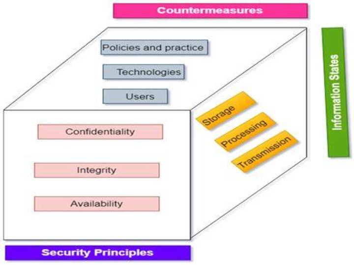 Camila Araujo Naked: A Comprehensive Analysis of Misinformation and Privacy in the Digital Age