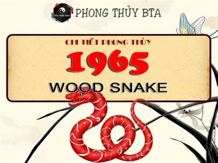 Chinese New Year 1965: A Journey Through History, Traditions, and Celebrations