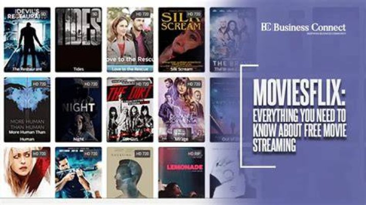 Comprehensive Guide to MoviesFlix 300: Everything You Need to Know