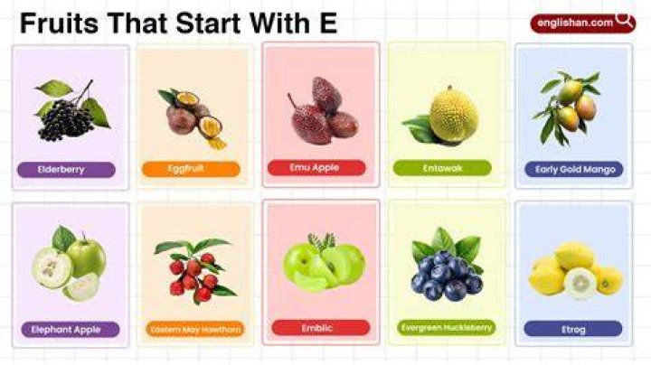 Cute Fruit Nicknames: A Sweet and Playful Guide to Naming Your Favorite Fruits