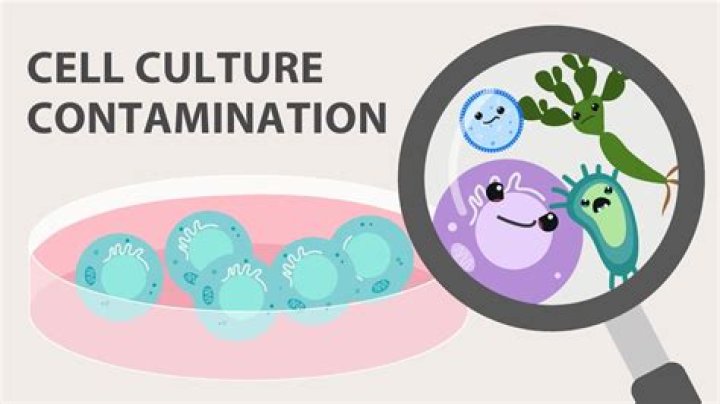 Cytoplasm Idea for Remembering: A Comprehensive Guide to Understanding and Mastering the Concept