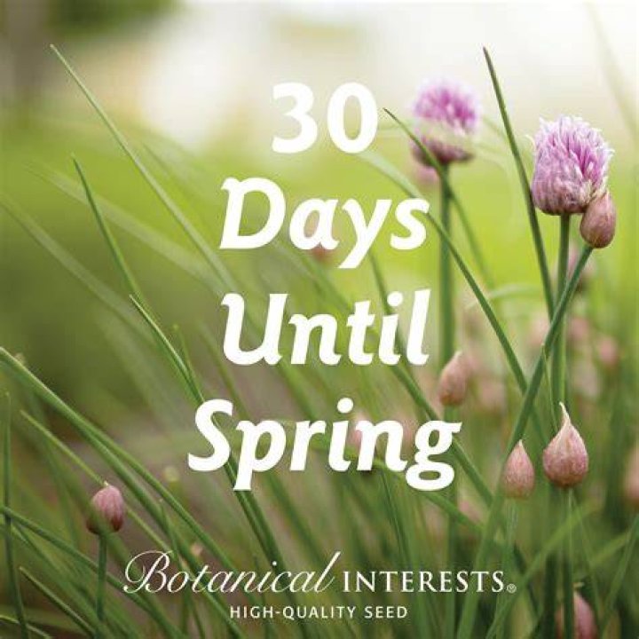 Days Until Spring: Countdown to Nature's Awakening