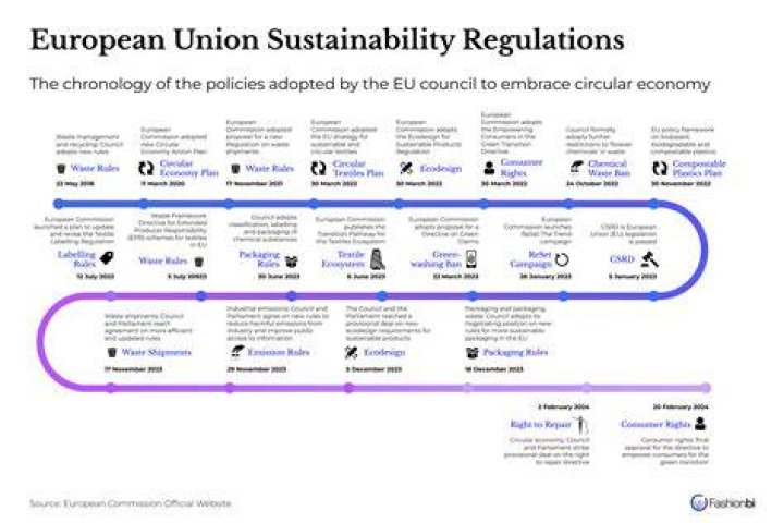 Decoding 2024's Movie Rules: A Guide to the New Regulations!