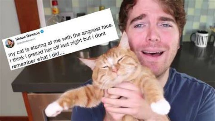 Did Shane Dawson Cat? The Truth Behind the Rumors