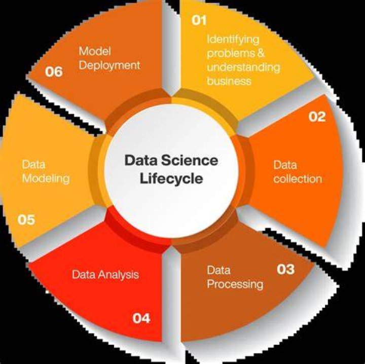 Discover Bianca Data: Data Science & Wellness