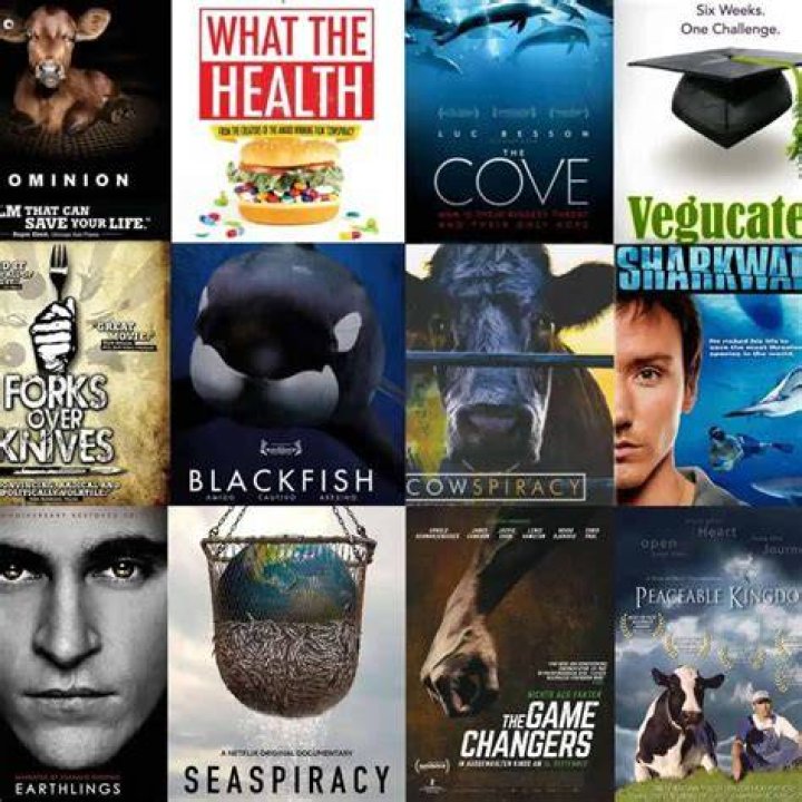 Discover Vegmovies: Your Guide to Vegan Movies & Documentaries