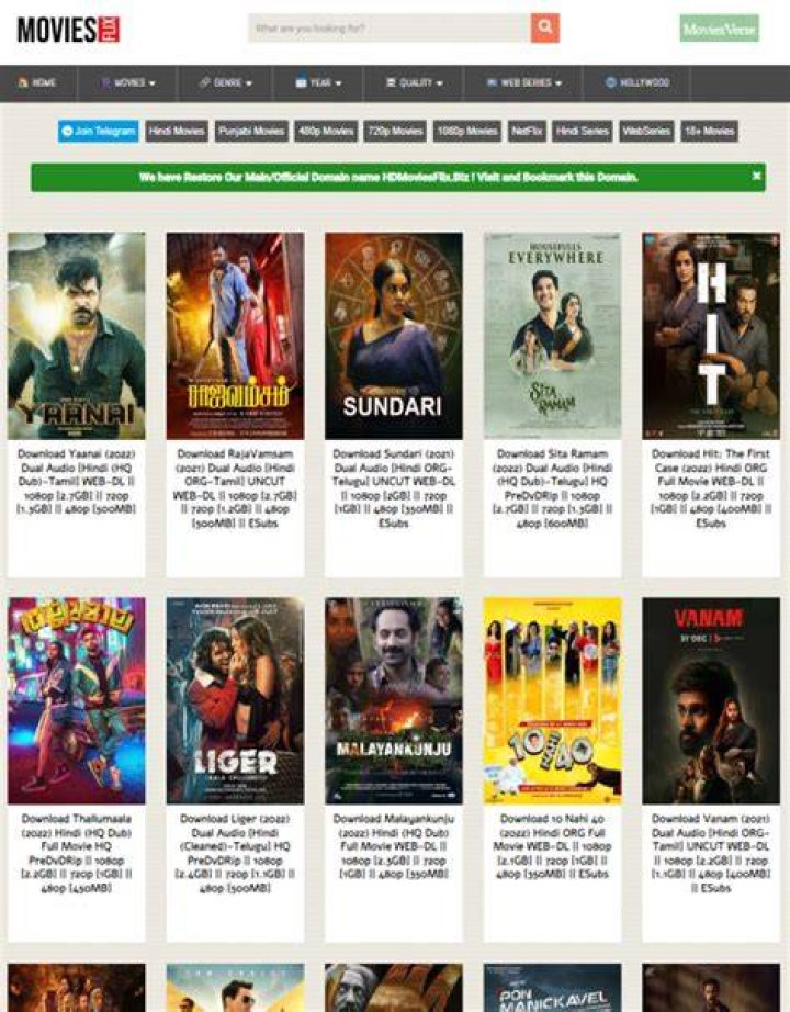 Discovering MoviesFlix Bollywood: The Ultimate Hub for Film Enthusiasts