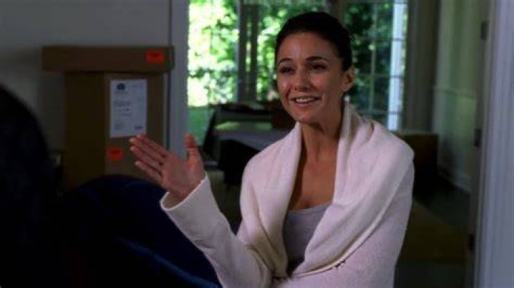 Emmanuelle Chriqui's Sloan on Entourage: A Look Back