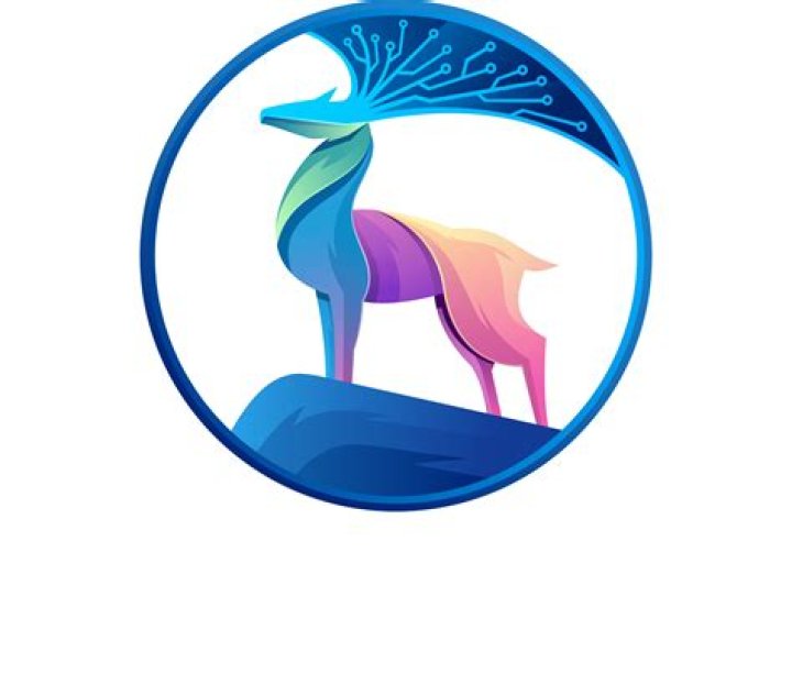 Explore Somali Wasmo on Telegram Channels and More