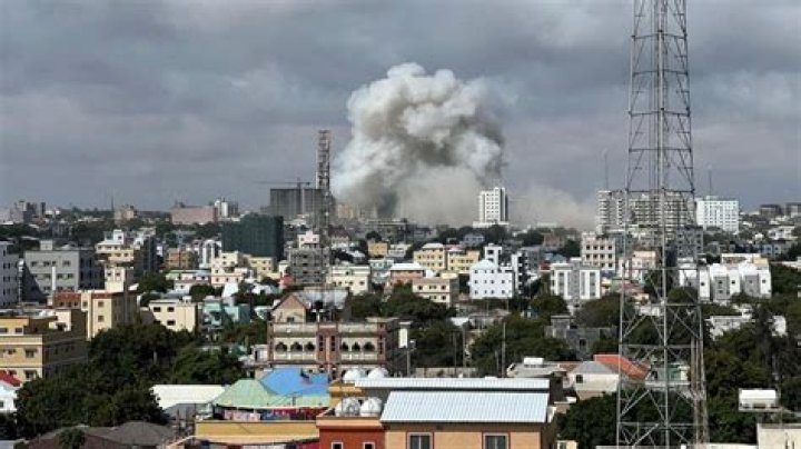 Explore Telegram Wasmo in Mogadishu: Latest Updates and In-Depth Insights