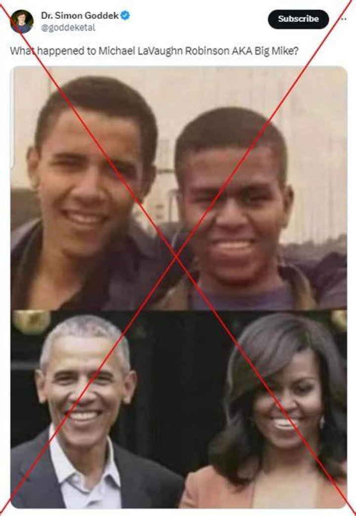 Fact-Check: The Truth Behind Claims About Michelle Obama
