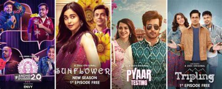 Failed Search & Entertainment Options: Explore Zee5 & Altbalaji!