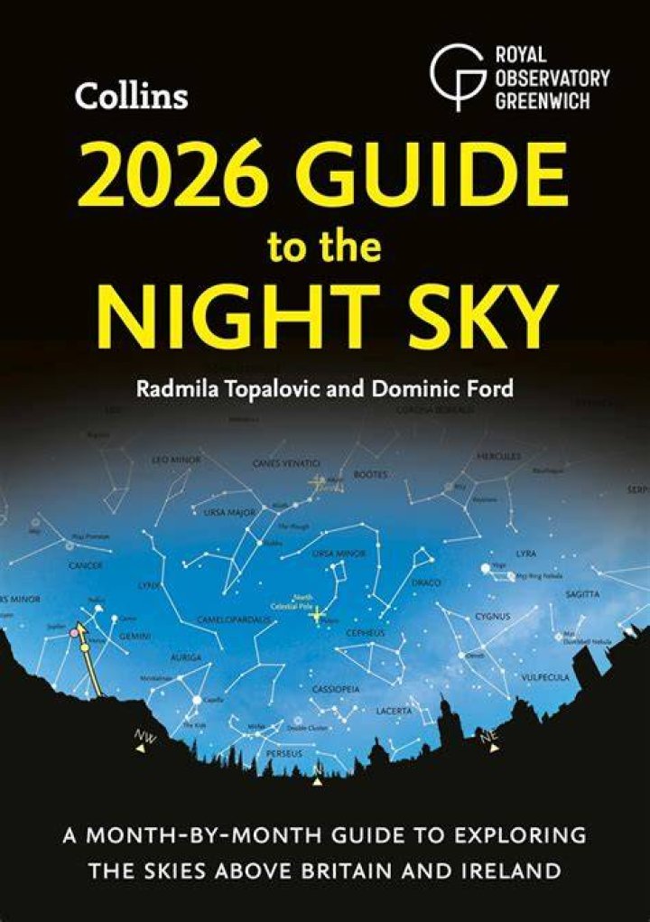 FilmyFly Fly: Your Ultimate Guide to Exploring the Skies