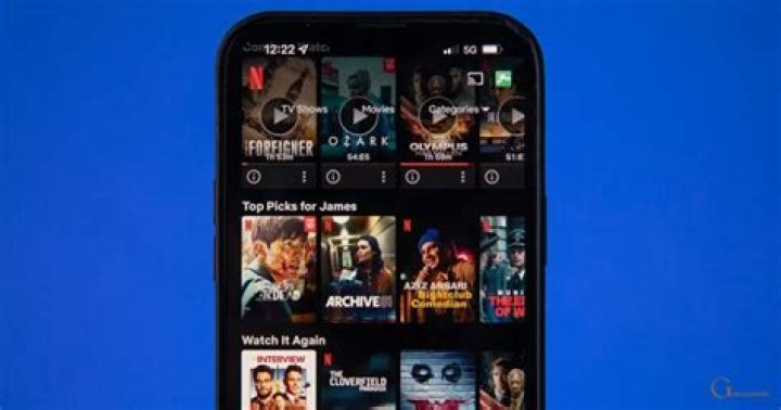 Filmyzilla.in: The Ultimate Destination for Movie Buffs