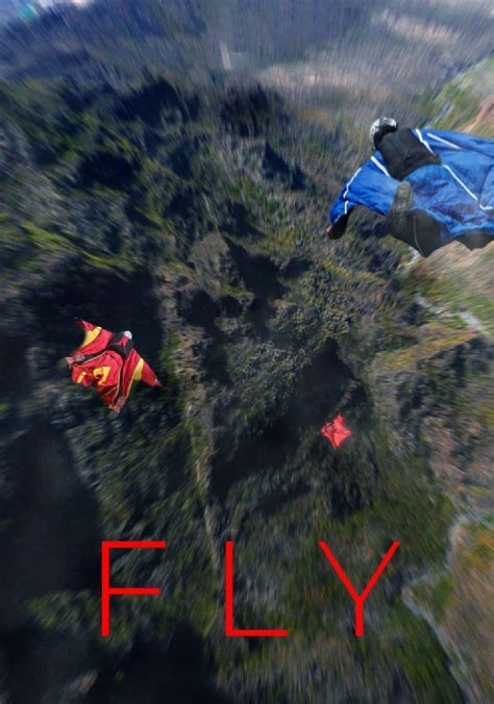 Flimy Fly.in: The Ultimate Guide to Unlocking Your Travel Adventures