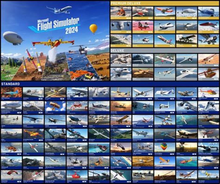 Fly.com 2024: The Movie That's Taking Flight This Year!