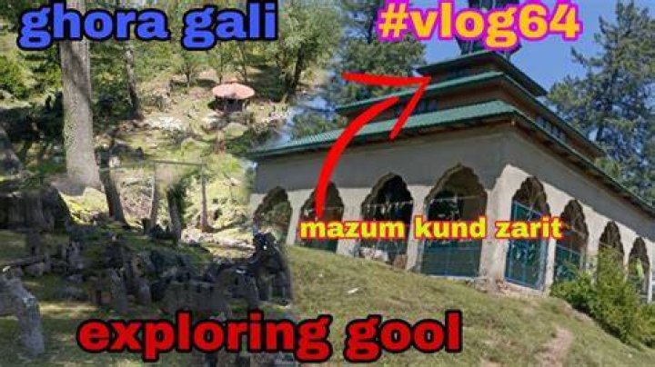 Gali Golan & Gali_Gool Leaks: What You Need to Know