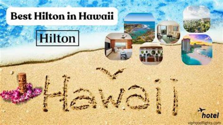 Hilton in Keys: A Paradise Experience Amidst Stunning Natural Beauty
