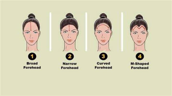 How Big Is a Big Forehead? Understanding Forehead Size and Its Implications