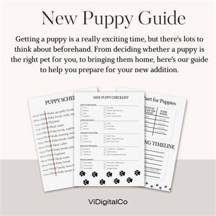 How Long for Puppies' Eyes to Open: A Comprehensive Guide for New Puppy Owners