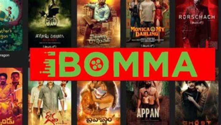 IBOMMA: Your Ultimate Entertainment Companion