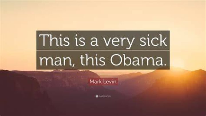 Is Levin Sick? Exploring the Health Status and Journey of Levin