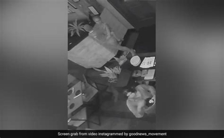 Kid Caught Red-Handed: The Story Behind the Mom CCTV Video
