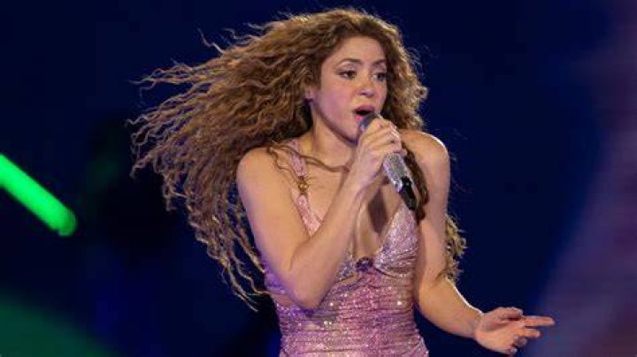 Lucy Mebarak Breaks Silence on Shakira's Split: Here's What She Said