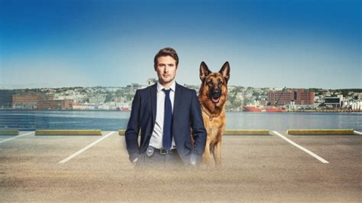 Luke Roberts, Hudson, and Rex: A Comprehensive Exploration