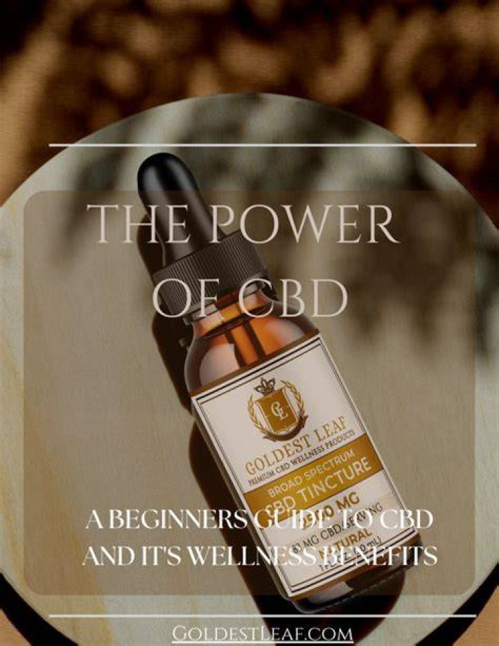 Masahub: Your Guide to CBD & Wellness | Explore Now