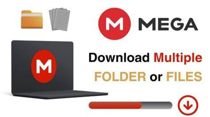 MEGA Folders: Access & Manage Files (Guide)