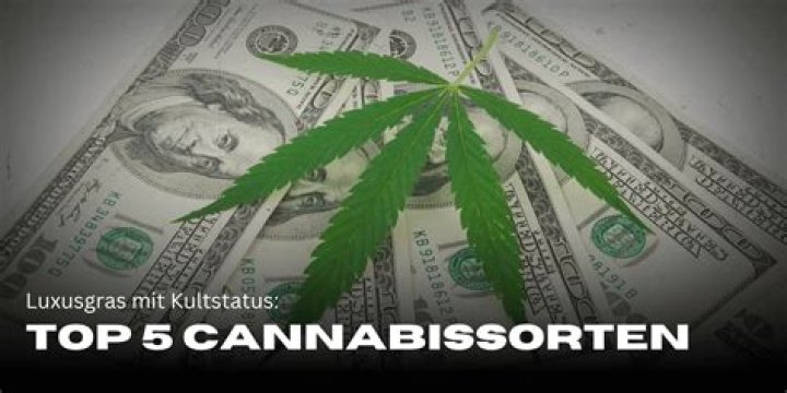 Most Expensive Weed: Exploring the World&rsquo;s Premium Cannabis Strains