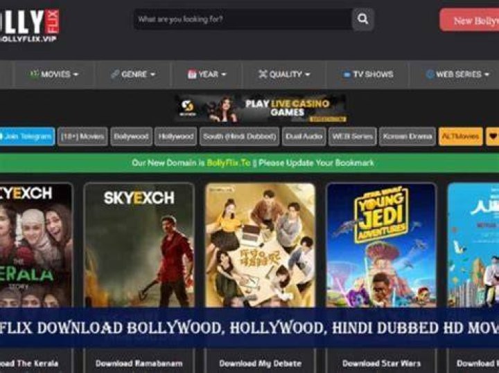 Ofilmywap Guide: Download, Safety & More - Your Movie FAQs