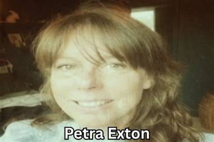 Petra Exton & Joe Wilkinson: Inside Their Life & Career