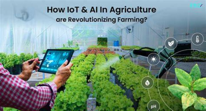 Remote IoT Applications: Revolutionizing the Way We Connect and Control