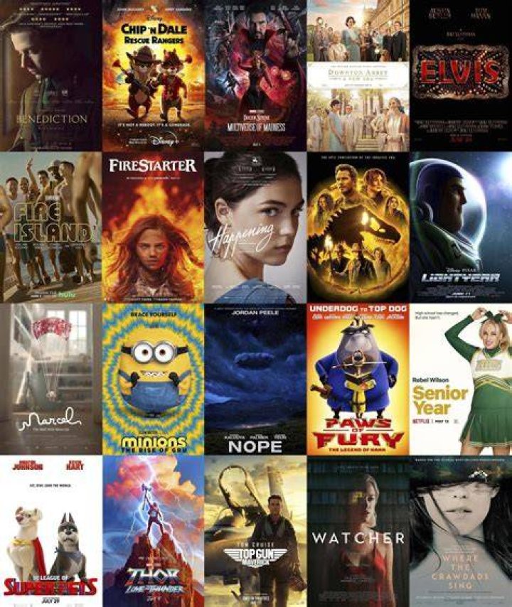 Searching Failed? Explore Movie Options After 